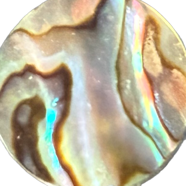 Stewart Island Paua No. 9 exact gemstone