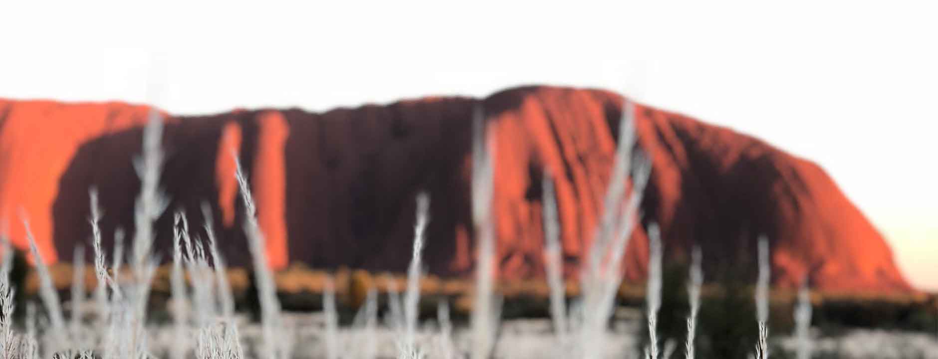 Red Sand Collection - Oli&J