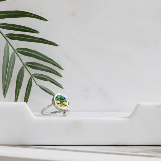 Australian Abalone Shell Adjustable Ring - Rings | Oli&J