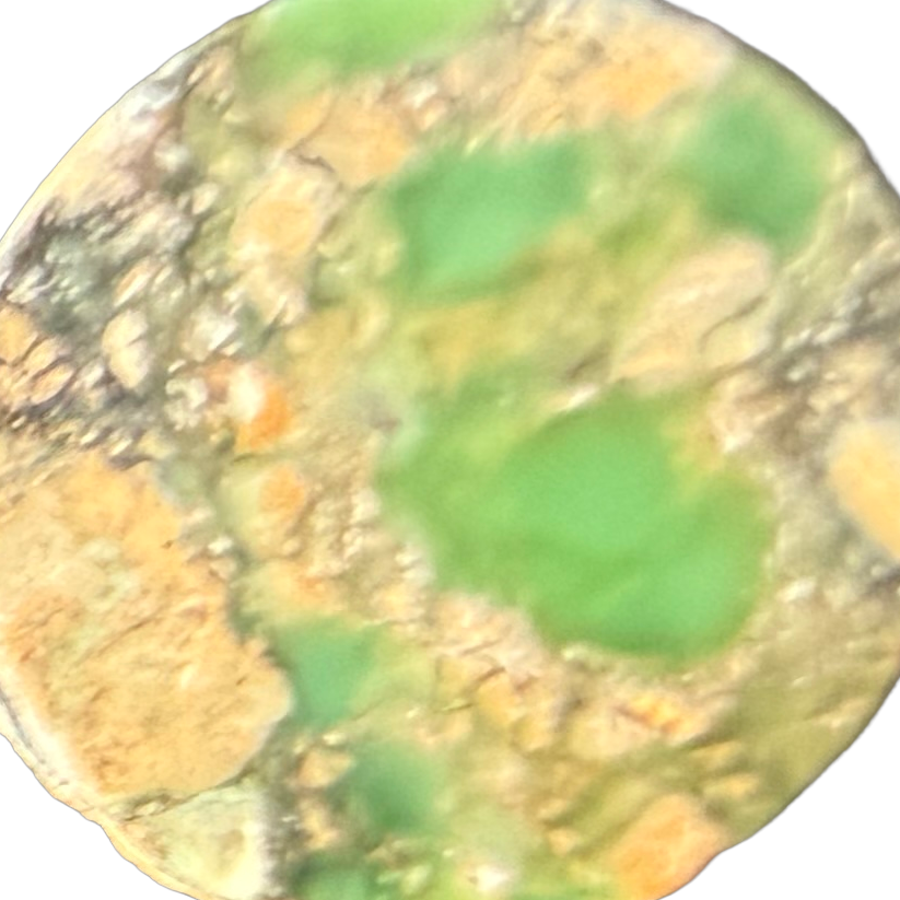 Gascoyne Variscite No. 3 exact gemstone