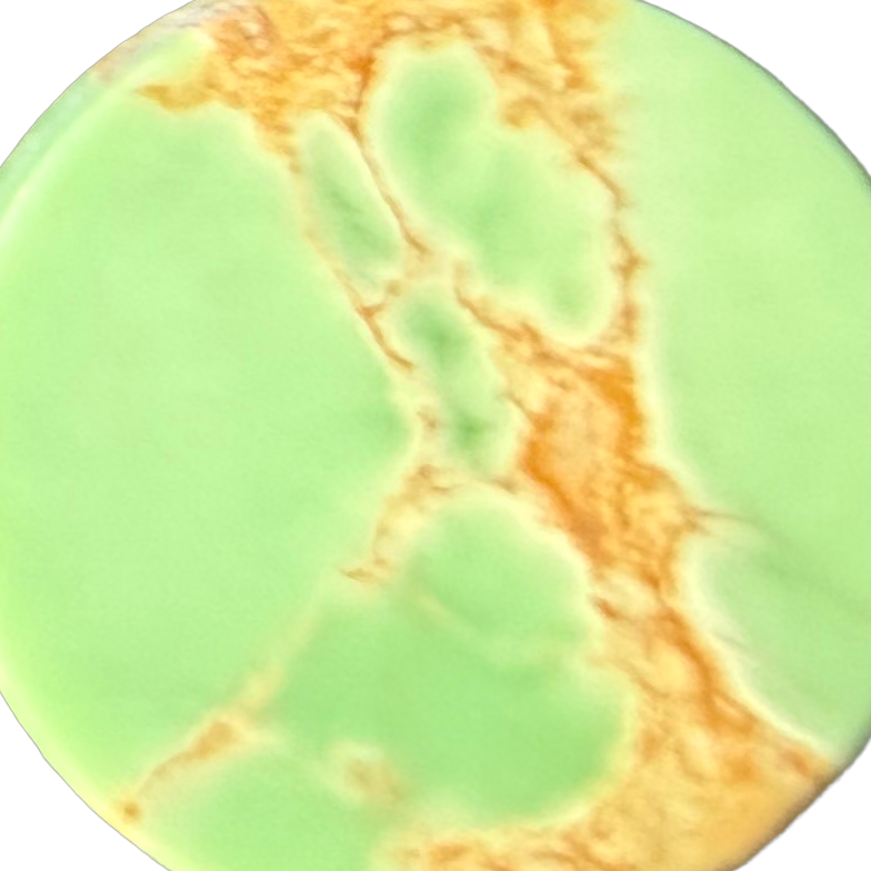 Gascoyne Variscite No. 5 exact gemstone