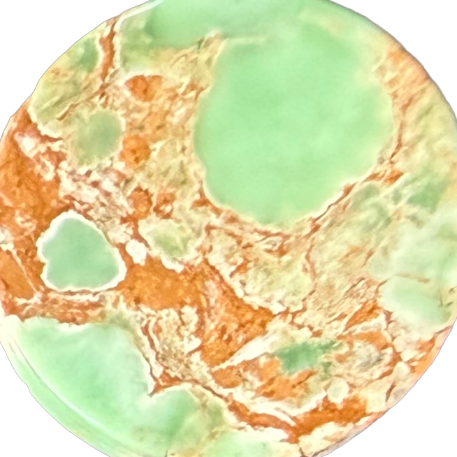 Gascoyne Variscite No. 7 exact gemstone