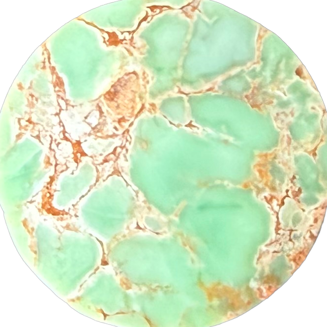Gascoyne Variscite No. 8 exact gemstone