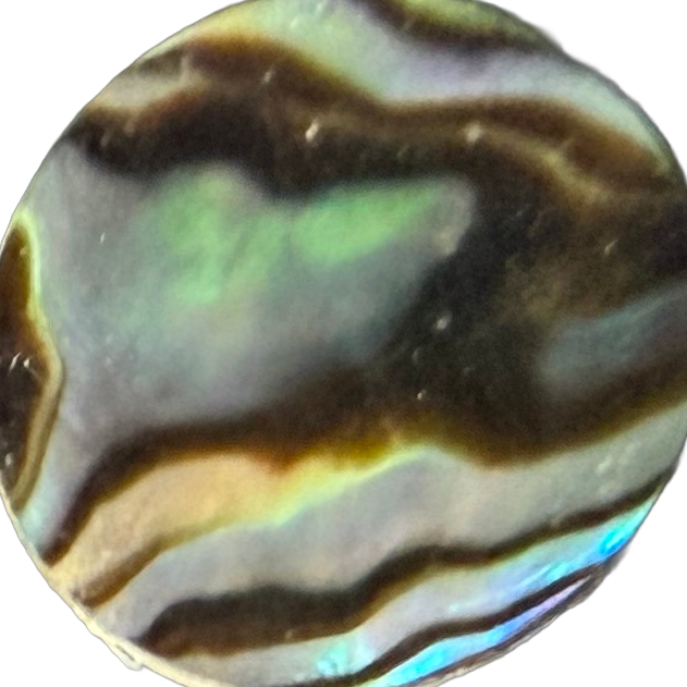 Stewart Island Paua No. 4 exact gemstone