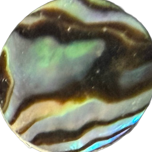 Stewart Island Paua No. 4 exact gemstone