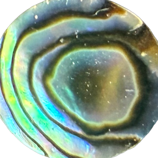 Stewart Island Paua No. 6 exact gemstone