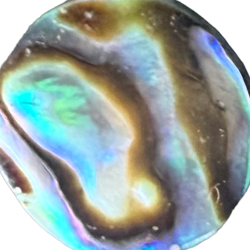 Stewart Island Paua No. 7 exact gemstone